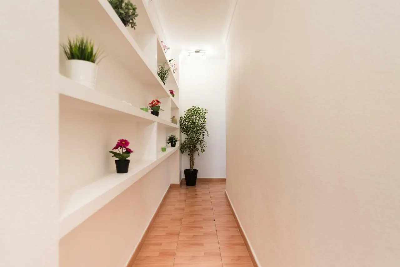 Apartamento Vivienda Miguel Rosas Las Palmas de Gran Canaria