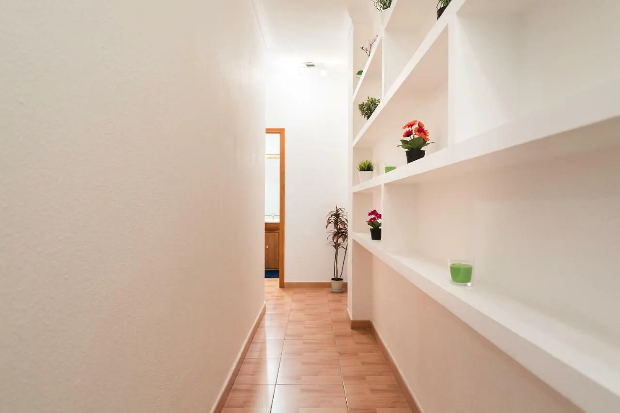 Apartamento Vivienda Miguel Rosas Las Palmas de Gran Canaria